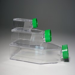 Adherent Cell Culture Flask ACF104L