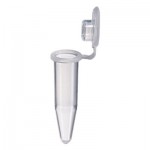 PCR Tube PTB100L