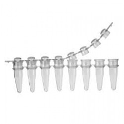 PCR Tube PTB103L