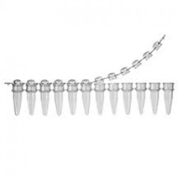 PCR Tube PTB104L
