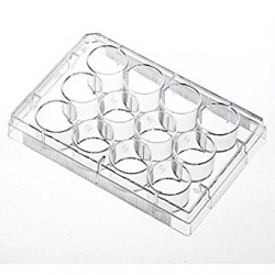 Suspension Culture Plate SCP105L